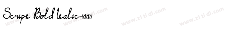 Script Bold Italic字体转换